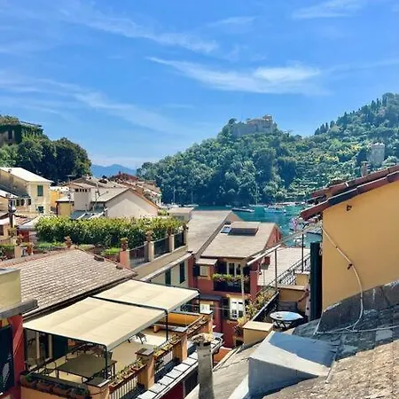 Vivi بورتوفينو